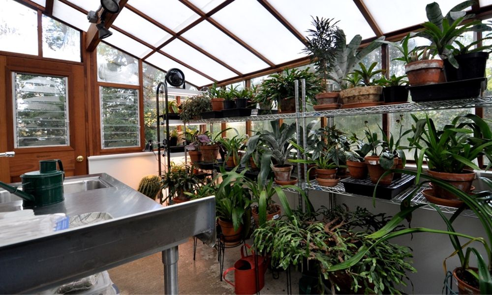 Top 14 Greenhouse Gardening Mistakes To Avoid