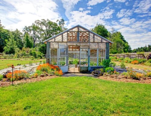 Helpful Tips for Cleaning Your Greenhouse