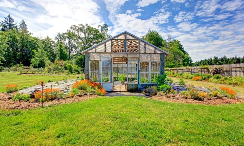 Helpful Tips for Cleaning Your Greenhouse - Sturdi-Built Greenhouses