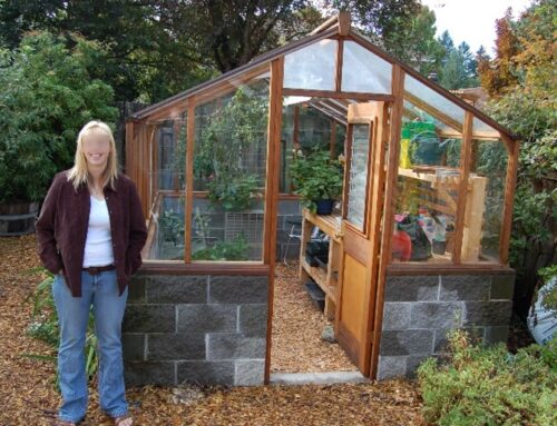 The Health Benefits of Greenhouse Gardening
