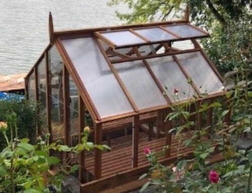 Why Buy a Greenhouse Kit