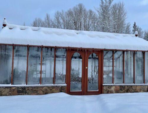 Ways To Heat Your Greenhouse During the Winter