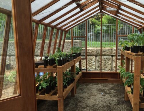 Sustainable Sustenance: A Comprehensive Guide to Using a Greenhouse to Feed Your Family